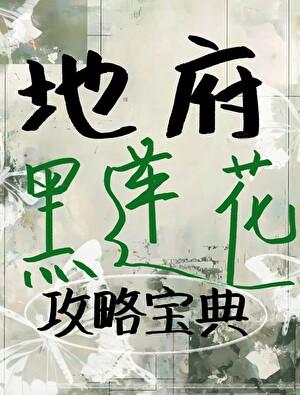 地府黑莲花攻略宝典