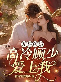 开局闪婚,高冷顾少爱上我