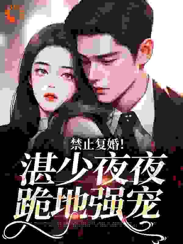 禁止复婚!湛少夜夜跪地强宠