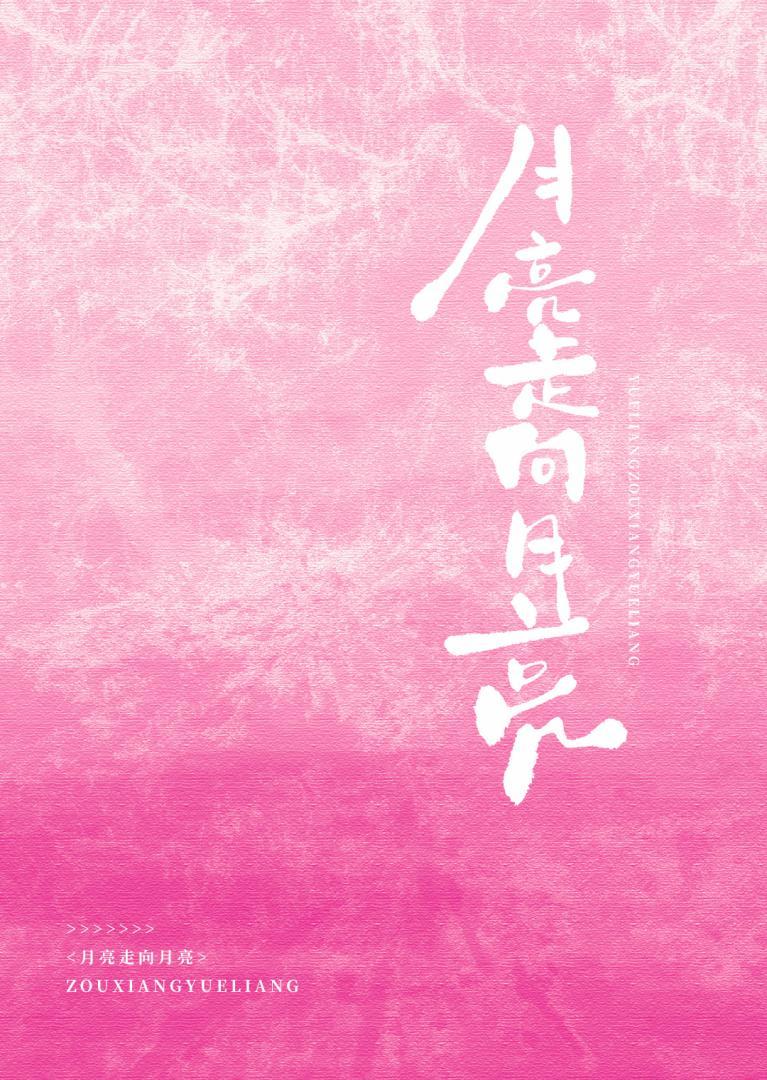 月亮走向月亮
