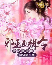 邪王通缉令:傻妃,哪里逃